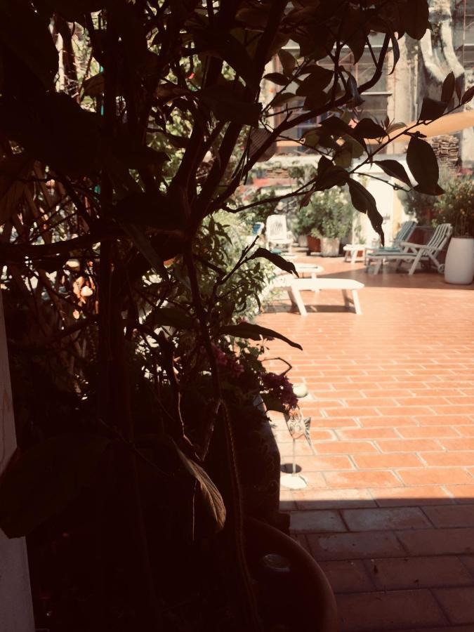 Alojamento de Acomodação e Pequeno-almoço La Terrazza Nápoles